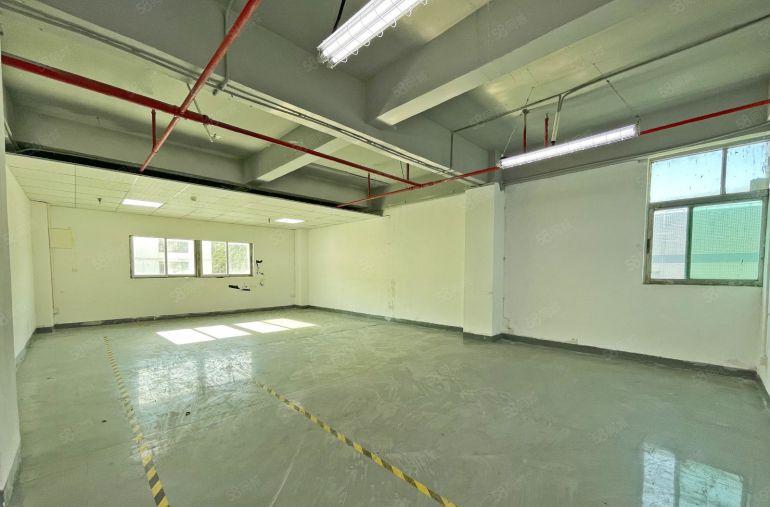 南山西丽 半层300平方 带办公室和仓库 电梯口 非常方便