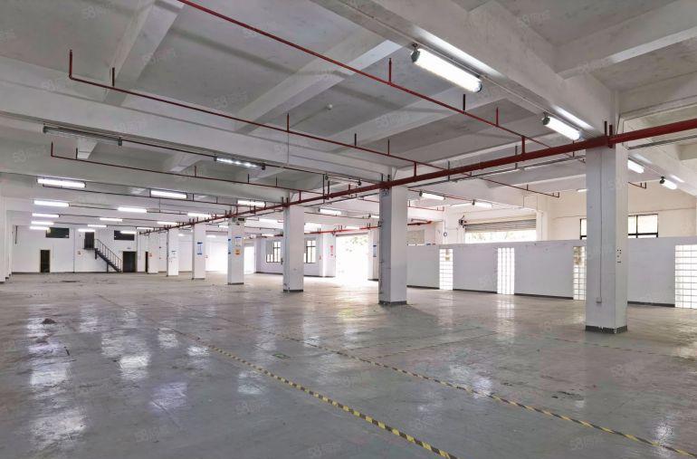 南山西丽 新出全新精装厂房一楼分租200~1600平 大小可