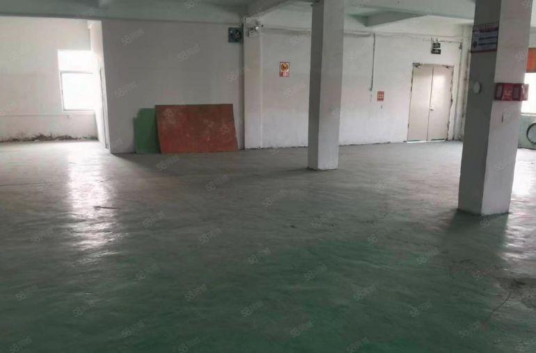 深圳周边惠州红本厂房出租可分租现在水电装修