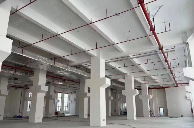 南山蛇口一楼带后花园可配送中央厨房再生资源收废品等不限行业