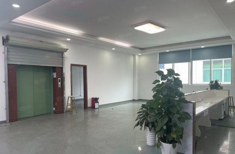 南山西丽高新产业园1000平带精装修厂房可申请房租补贴