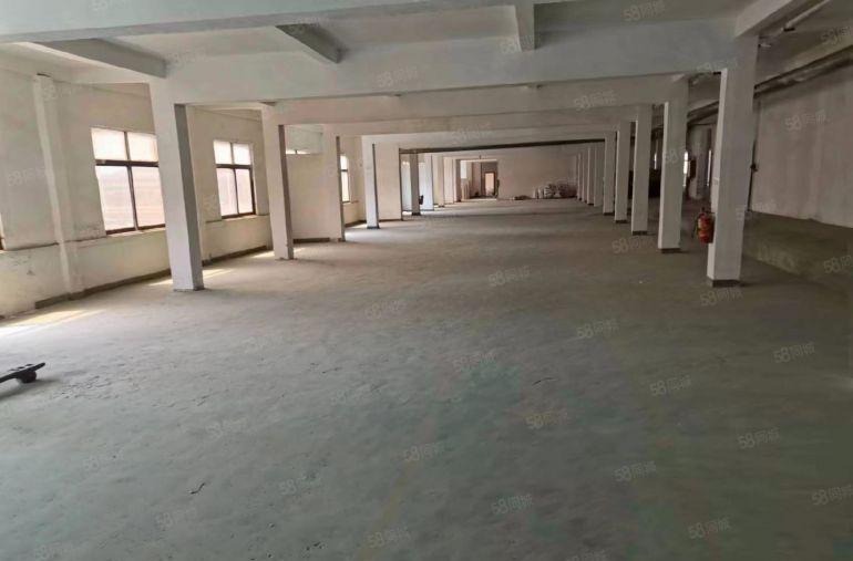 深圳周边惠州红本厂房出租可分租现在水电装修