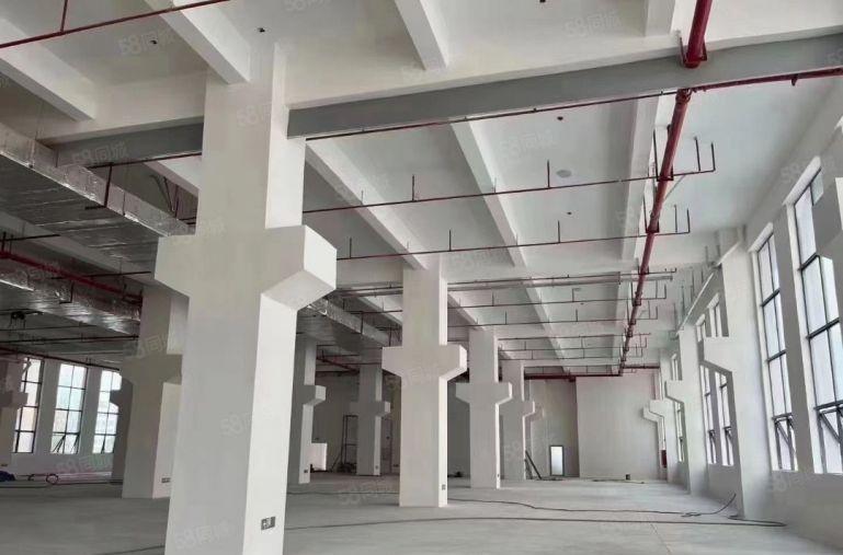 南山蛇口一楼带后花园可配送中央厨房再生资源收废品等不限行业