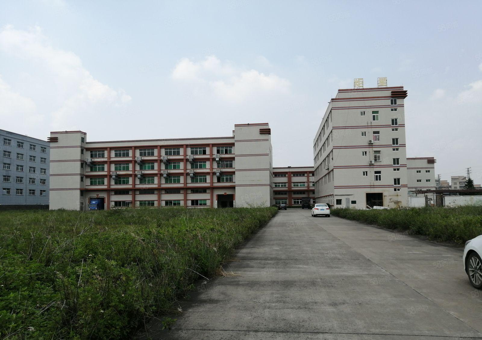 南山原房东独院厂房仓库500平1000平2000平出租