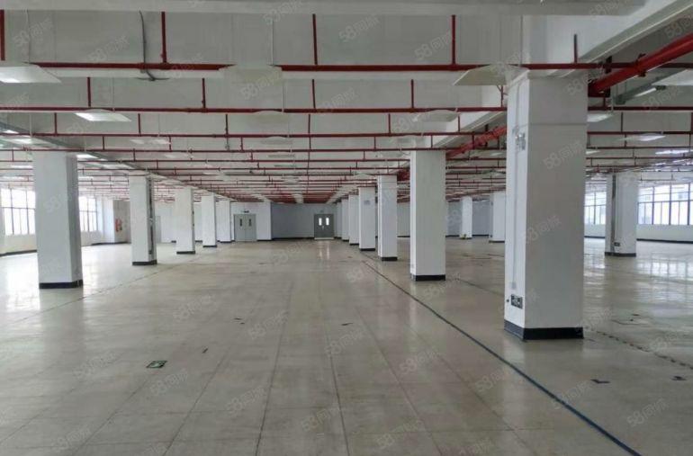 西乡航城大型园区原房东一楼1500三楼3000平方厂房分租