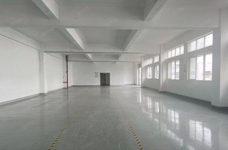 特价南山西丽电改工业区厂房仓储办公 形象好200平起分