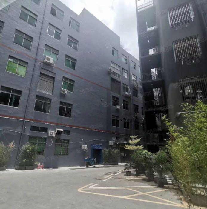 南山西丽地铁站（原房东直租）厂房300平.无递增