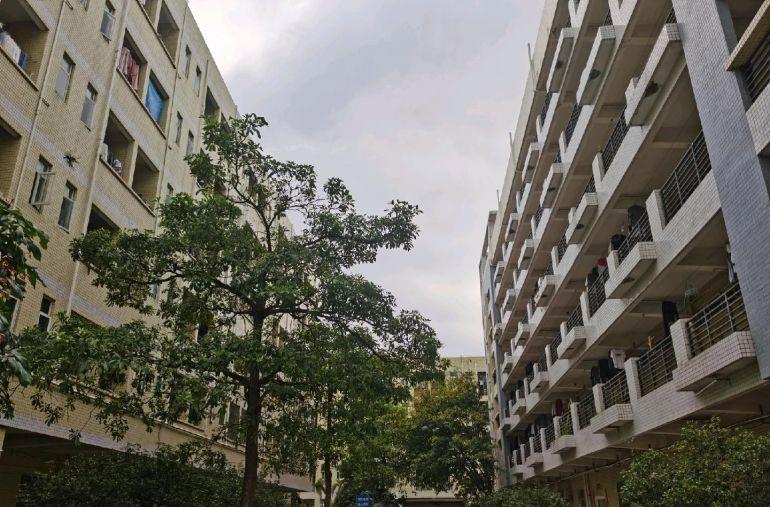 宝龙华丰留学生产业园8栋（可分租）/租约未到期转租/