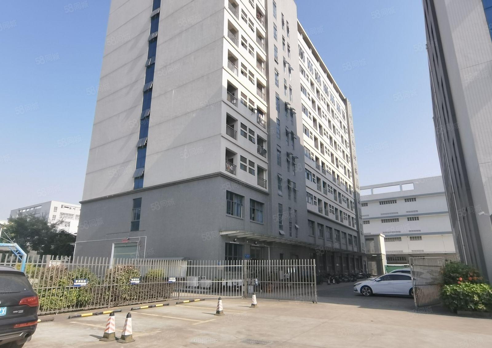 凤岗临深1一5层单层面积2000平 500平起分租