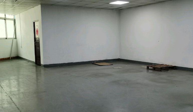 西乡鹤洲380平分租无转让费