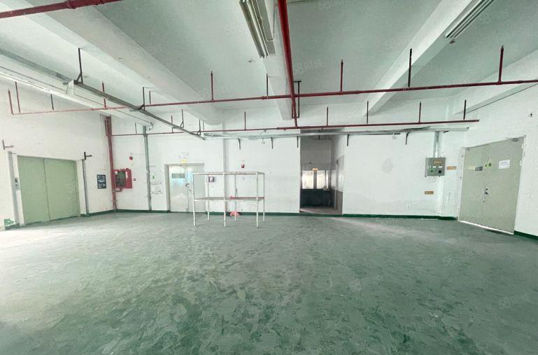 西丽主干道新出1500平红本厂房现成办公出租，500平起租