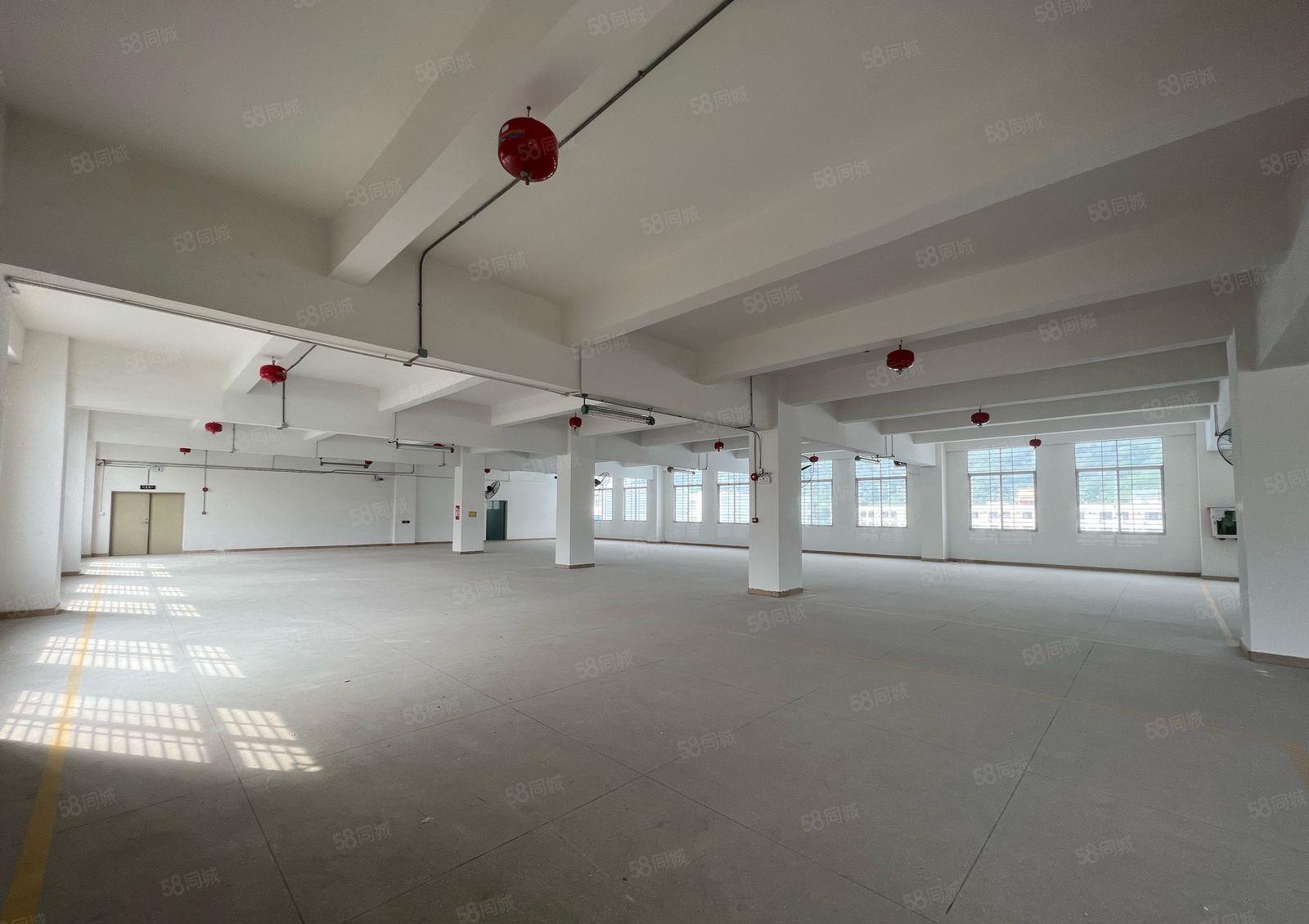 西丽独院厂房整层1716平 带货梯有消防 不限行业 已空置