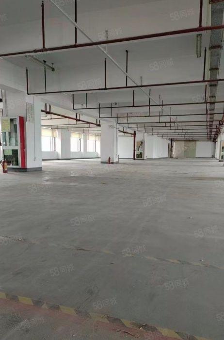 罗湖北站地铁口原房东红本办公厂房，精装修可定制