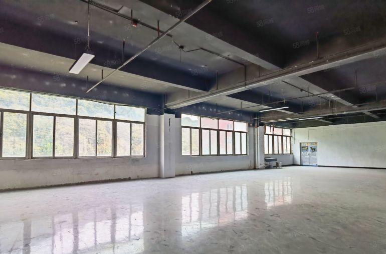 南山西丽留仙洞总部基地 研发办公产业园 新出1000平场地