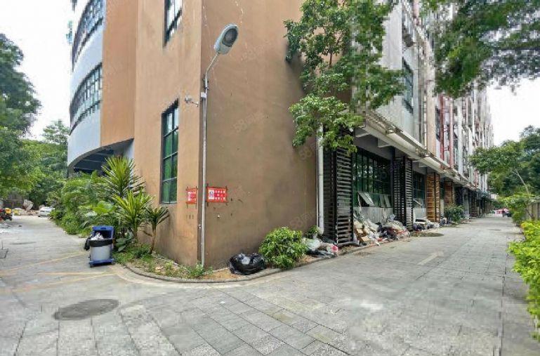 南山西丽大学城一楼1160平可分租开门  行业不限低价厂房