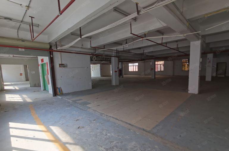 惠州厂房出租办公仓库独门独院工业园仓库出租一楼高速路口分租