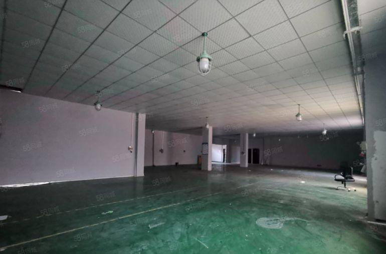 南山科技园200至1000平一楼精选仓库低价厂房出租