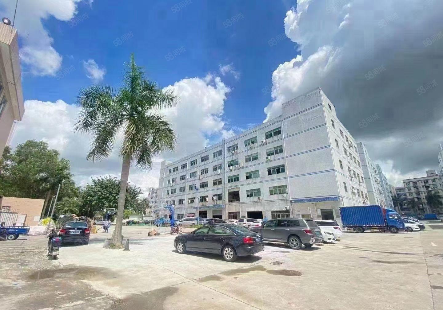 原房东，无公摊，石岩塘头独院10000平方5层厂房出租