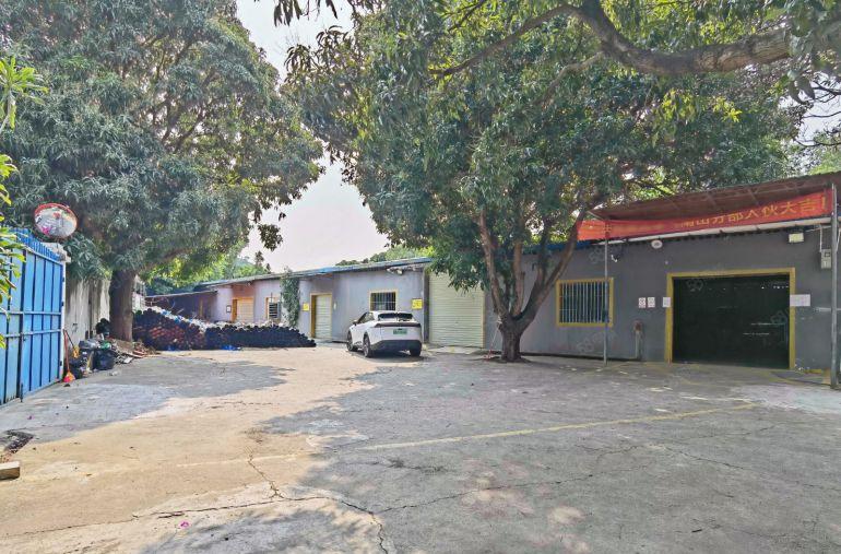 西丽 新出独门独院钢构厂房1800平 租金35元 不限行业