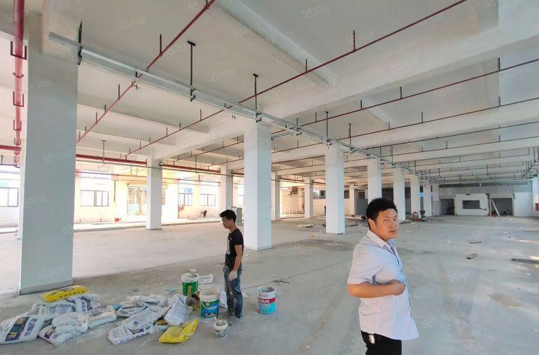 坪山工业园新出200至5000平一二楼红本厂房仓库出租大小分