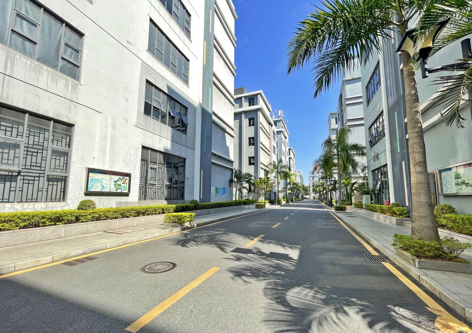 南山区 一楼整层540平方 采光很棒 研发 办公