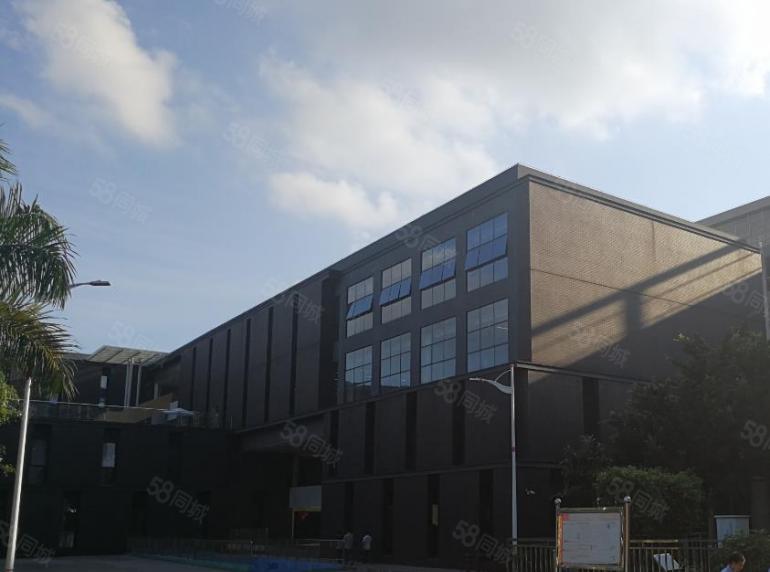 高新科技园区1楼和2楼厂房单层面积8000平方，可分租