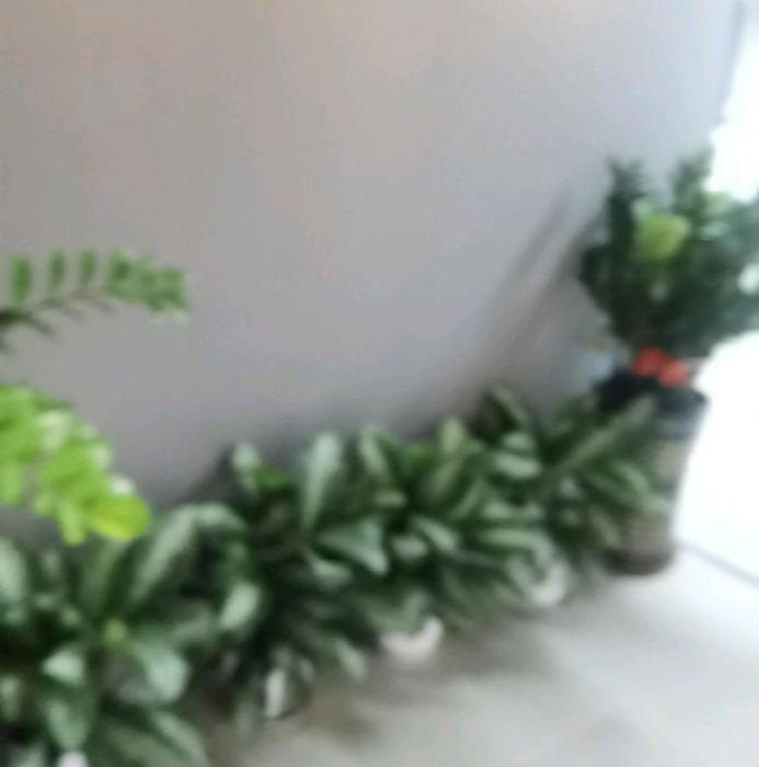 精装办公室分租，整租，转让都可！