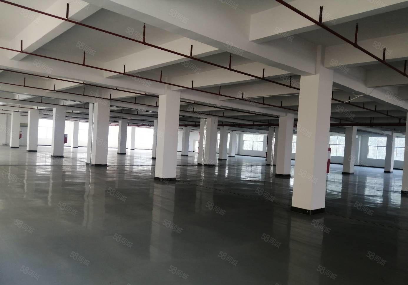 临深原房东园区独栋一到5层7500平全新地坪漆厂房招租 可分