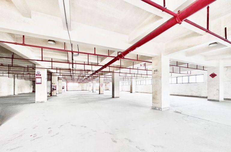 罗湖清水河工业园厂房出租单层5500平办公加工生产仓储可分租