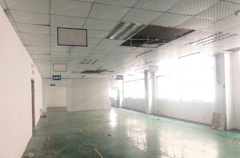 地铁口整层厂房1850平 仅租6.5万 配套双电梯 不限行业