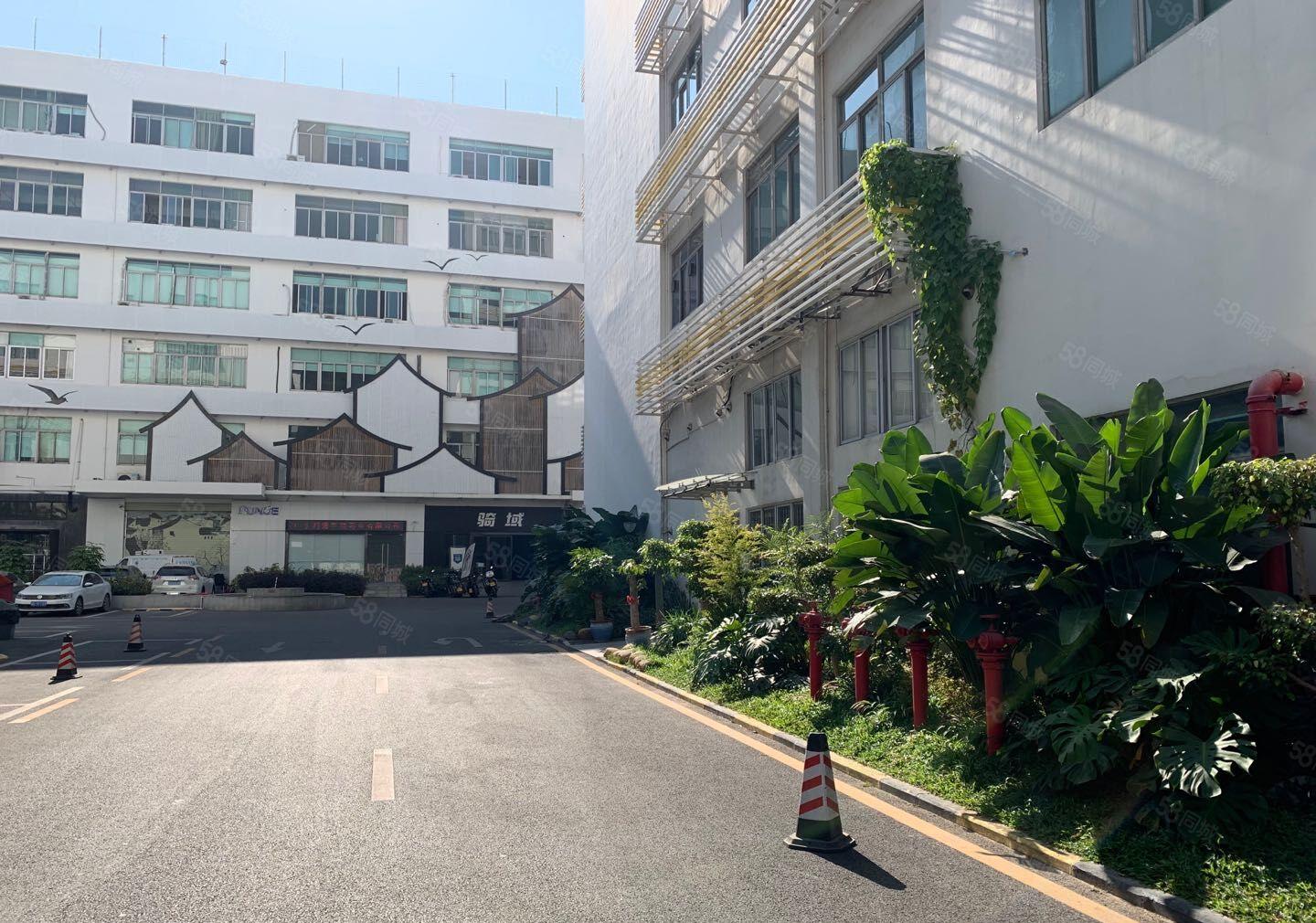 南山西丽文化园300，1300平精装修装修，一房东直租