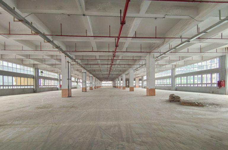 塘厦新出独门独院4万平标准厂房，带卸货平台，空地超大，原房东