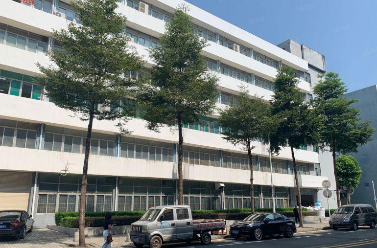 （原房东急租）100平起盐田沙头角4850平低价独院厂房