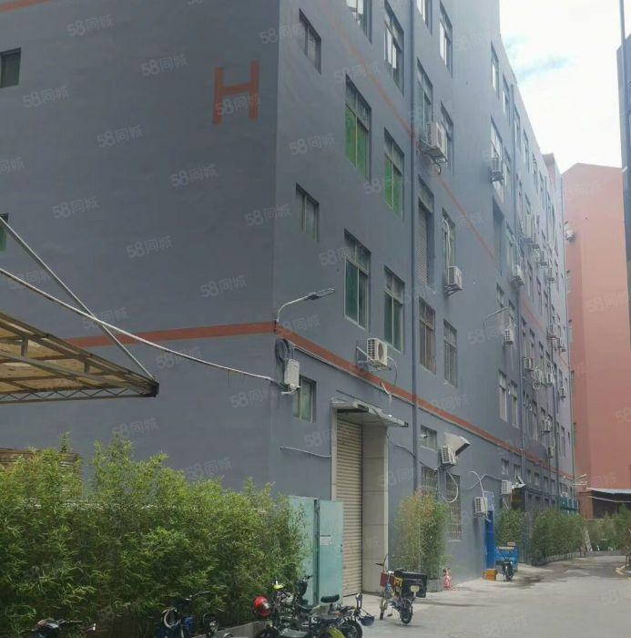 南山西丽地铁站（原房东直租）厂房300平.无递增