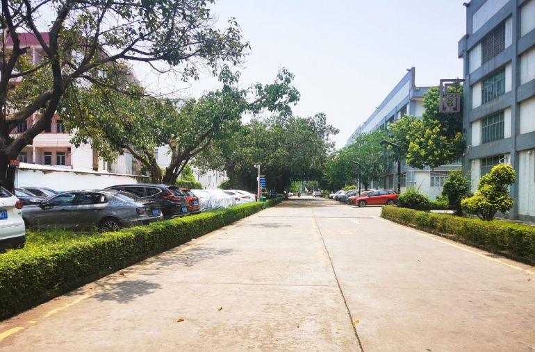南山西丽（公园厂房）新出整栋7769平 空地超大 环境非常好