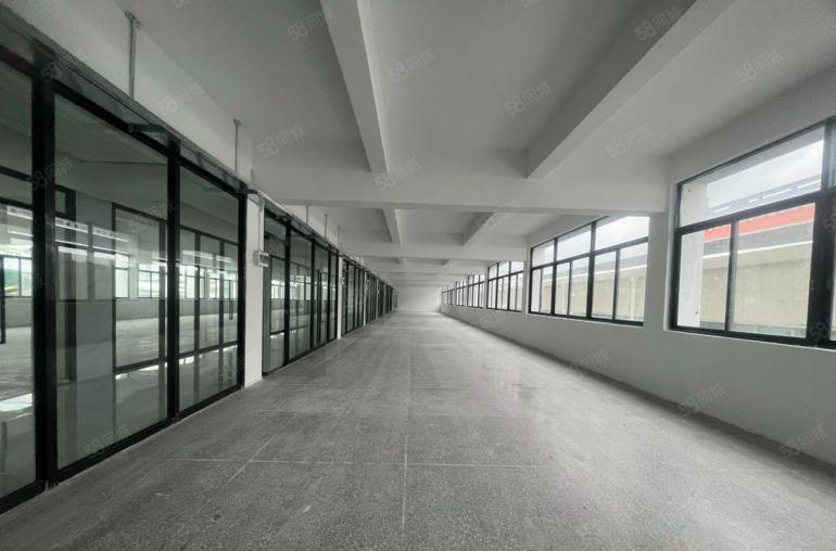 罗湖草埔厂改办公2000平可定制装修不限行业原房东出租