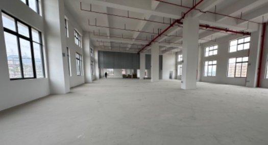 中山中山市 深中通道站10800㎡ 厂房出售独院 有蒸汽 有燃气 可环评