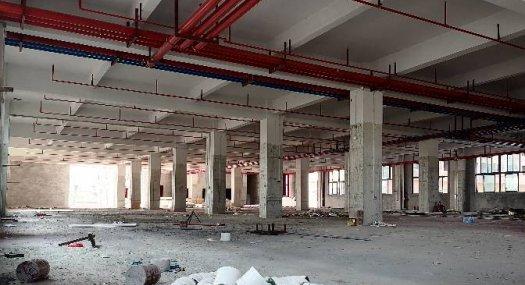 中山中山市港口镇沙港路50233㎡ 厂房租售层高5米