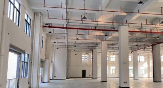 中山横栏 现楼精装修厂房租售