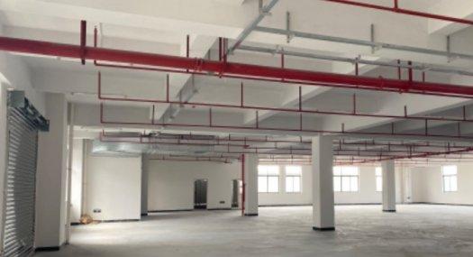 横栏红本厂房出售（包精装修）无税收要求 可个人名